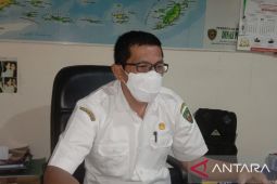 Kebutuhan hewan kurban Maluku capai 1.233 ekor