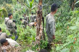 TNGHS kerja sama Brimob dan PT. Antam tanam pohon dan lepasliarkan elang