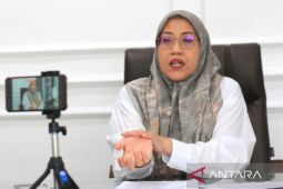 Tiga negara dominasi investasi modal asing di Kalsel triwulan I