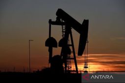 Harga minyak Selasa sore turun di Asia