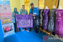 UMKM sasirangan binaan PLN ikuti Himung Ulahan Tanah Laut