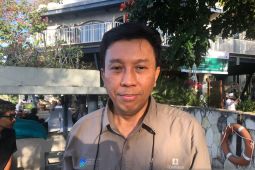 BTNBB: Populasi burung Jalak Bali bertambah berkat konservasi