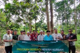 PT Angkasa Pura II cabang Bandara Depati Amir salurkan hewan kurban, serempak di 20 Angkasa Pura lainnya