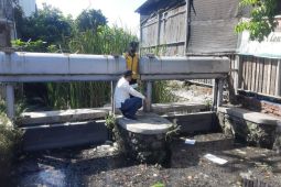 Pemkab Sidoarjo normalisasi Kali Gogoh Tropodo antisipasi banjir tahunan