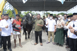 Gubernur Gorontalo serahkan bantuan ternak kurban dari Presiden