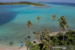 Ekonom minta gubernur jajaki kembali investasi UEA di Aceh