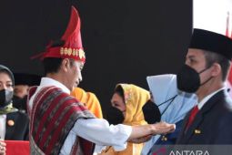 Ketua TP PKK HSS terima penghargaan Satyalancana Wira Karya
