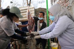 DKPP Surabaya terjunkan tim untuk cek kesehatan hewan kurban