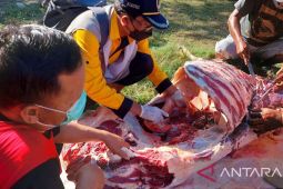 DLH Probolinggo imbau warga rayakan Idul Adha tanpa sampah plastik