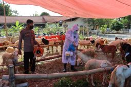 Cegah PMK, Polres Gresik disinfeksi sejumlah kandang ternak