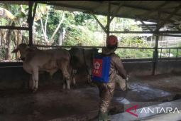 PMI Kota Sukabumi terjunkan petugas desinfeksi ke peternakan cegah PMK