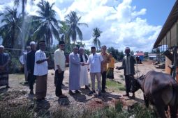 Ketua DPRD Ketapang serahkan lima sapi kurban untuk masyarakat