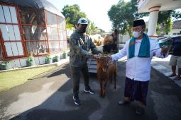 DKPP Kota Madiun tegaskan daging hewan kurban terkena PMK bisa dikonsumsi
