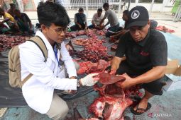 Penyembelihan hewan kurban Idul Adha
