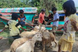 Anjuran kesehatan mengkonsumsi daging