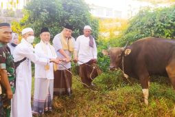 Bupati Merangin kurban dua sapi untuk masyarkat