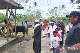 Idul Adha di Malra, Bupati Thaher: Momentum Kuatkan Iman dan Rasa Kebersamaan