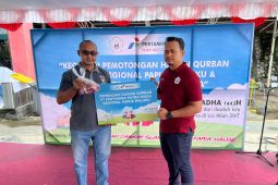 Pertamina Papua menyalurkan 13 ekor hewan kurban