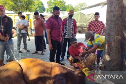 Polres Situbondo distribusikan 865 bungkus daging kurban
