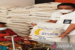 BULOG Sumut masih terus  berupaya tingkatkan pembelian beras petani