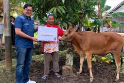 Program "Grow Hope" Gaia Bumi Raya City salurkan hewan kurban
