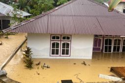 Korban Banjir Kaitetu Minta Uluran Tangan Pemerintah, Pemda Malteng ke mana?