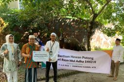 BSI salurkan 3.691 hewan kurban ke seluruh Indonesia