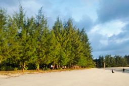 Bupati Malra: Pantai Uf Dipersiapkan Sambut Yacht Dari Luar Negeri