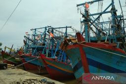Ratusan kapal nelayan tak melaut karena tingginya biaya operasional