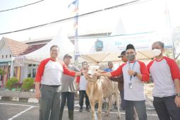 PLN Kalbar bagikan 2.250 kantong daging kurban kepada yatim - kaum dhuafa