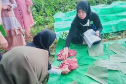 Distan Penajam pantau 370 titik penyembelihan hewan kurban