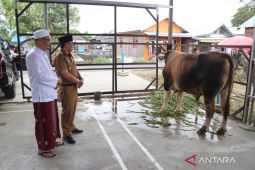 Wabup HSS serahkan hewan kurban ke Ponpes Al-Muradiyah