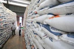Bulog Cirebon serap 40 ribu ton beras milik petani