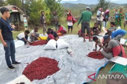 Bupati Boven Digoel sebut DOB mewujudkan kesejahteraan masyarakat