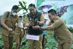 Pemkab Dairi lakukan penanaman perdana KUR Klaster Kopi