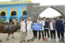 PKT salurkan bantuan 9 sapi kurban berbagi berkah Idul Adha