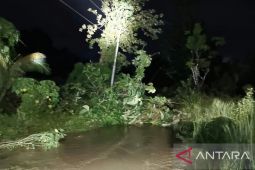 Jaringan listrik terputus akibat longsor susulan di Saparua Maluku Tengah, begini penjelasannya