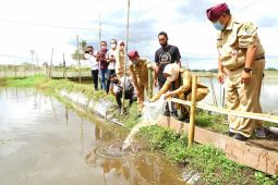 Kampung koi Banyuwangi naik kelas berkat program Jagoan Tani