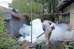 Dinkes Papua dan Asmat berkolaborasi tangani KLB DBD