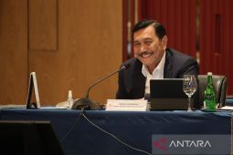 Luhut: utang pemerintah Indonesia terkecil di dunia