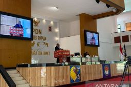 Wakil Mendagri sebut tiga DOB di Papua akan jadi pilot project