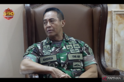 Panglima TNI tegaskan kawal kasus hukum libatkan TNI hingga tuntas