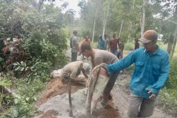 Petani di Kampung Baruh Ulin minta pemda perbaiki JUT