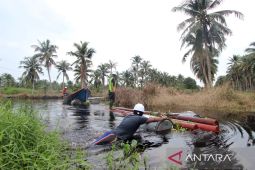 83.240 desa telah menikmati listrik, warga sambut penuh suka cita