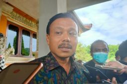 Satgas Bali catat 526 sapi terjangkit PMK