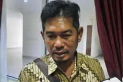 Dewan minta pemerintah penuhi kebutuhan listrik masyarakat