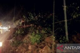 Tanah longsor terjadi di Halong Ambon, tidak ada korban jiwa