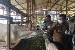 Ini perintah Pj Bupati Aceh Besar kepada Kadistan