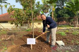 Tanam berbagai jenis durian, Polbangtan Kementan siapkan agroeduwisata