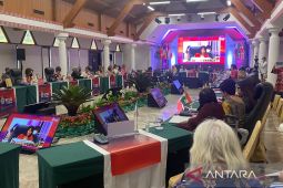 Srikandi PLN Sumut ikuti kegiatan W20 di Danau Toba